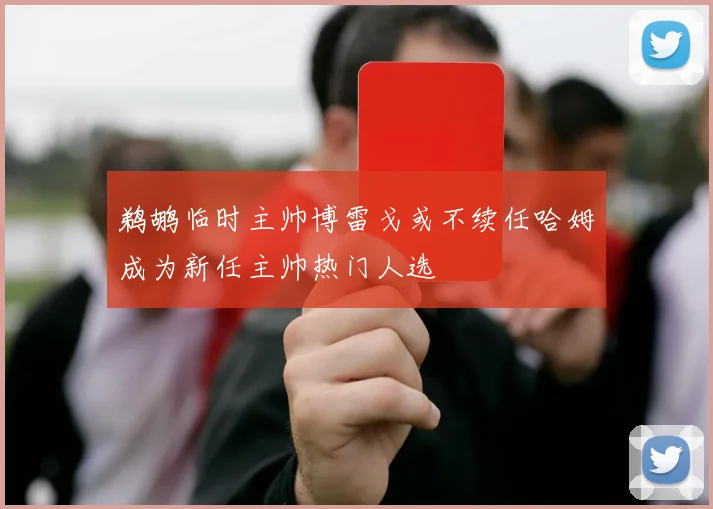 鹈鹕临时主帅博雷戈或不续任哈姆成为新任主帅热门人选